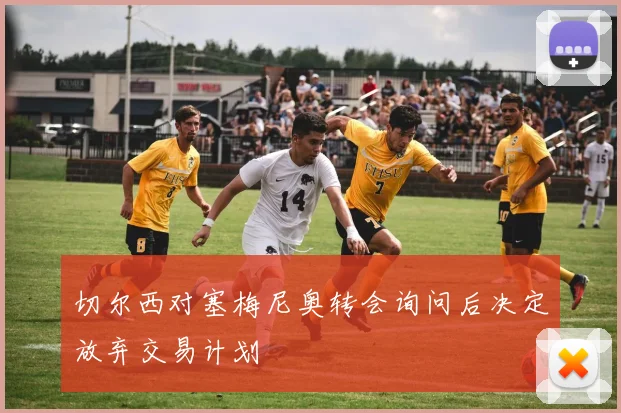 切尔西对塞梅尼奥转会询问后决定放弃交易计划