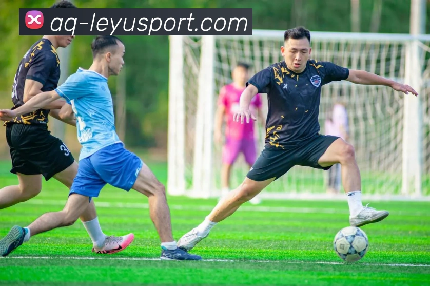 乐鱼体育品牌故事