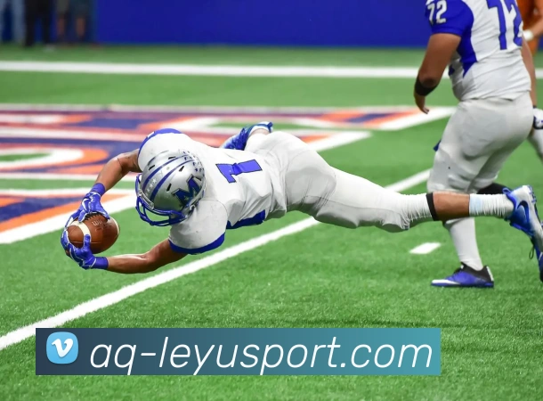 乐鱼体育服务体系