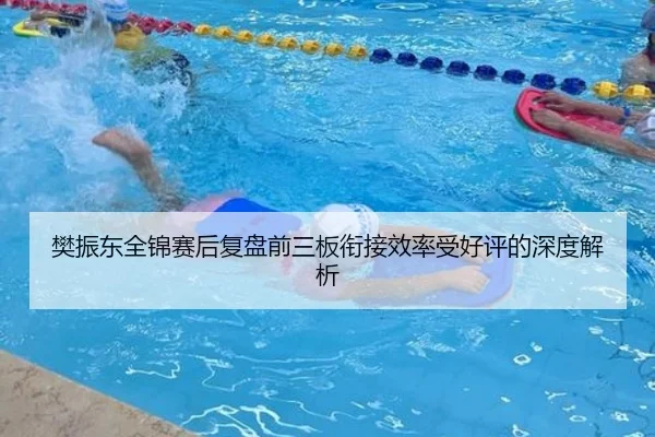 樊振东全锦赛后复盘前三板衔接效率受好评的深度解析（leyu）